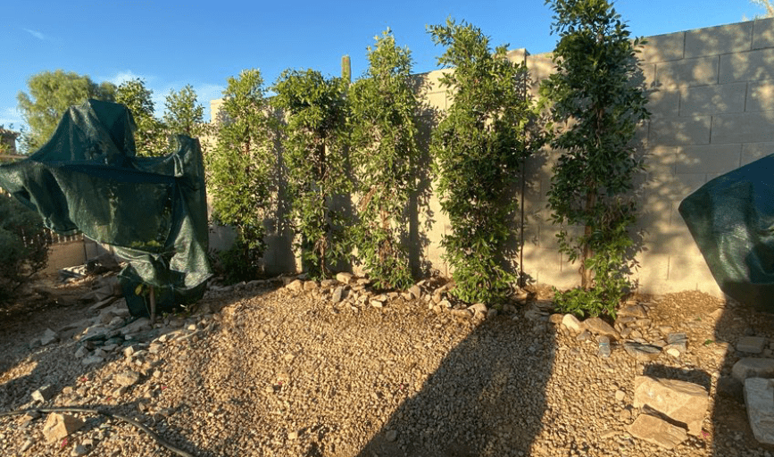 Ram's Landscaping & Tree Service
