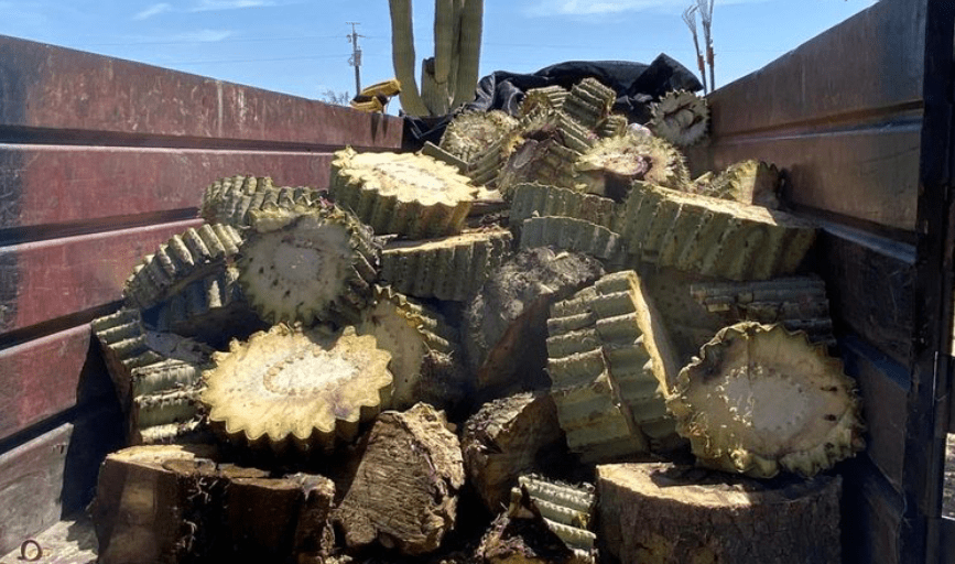Ram's Landscaping & Tree Service